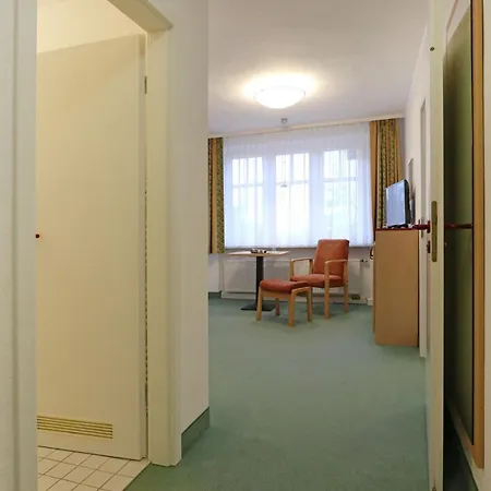 Strandflieder 305 *