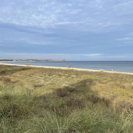 Strandflieder 305 *