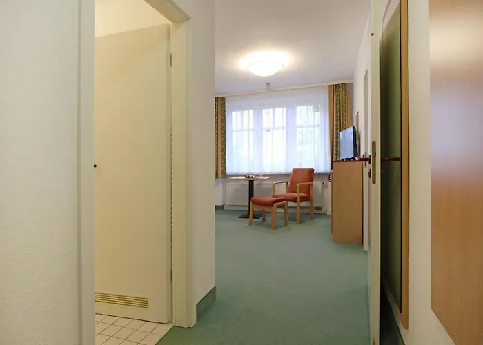 Strandflieder 305 *